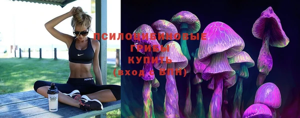 стафф Бронницы