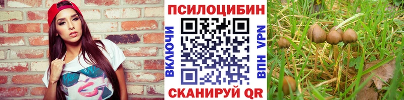 Псилоцибиновые грибы ЛСД Воркута